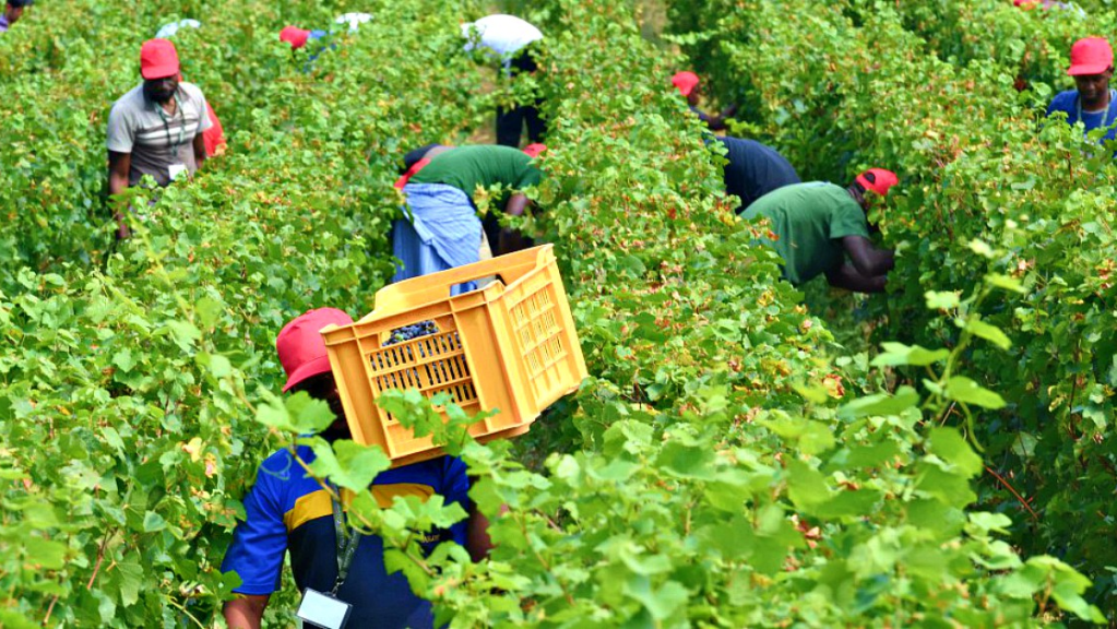 Il suo nome è Robert&nbsp;PaulSingh